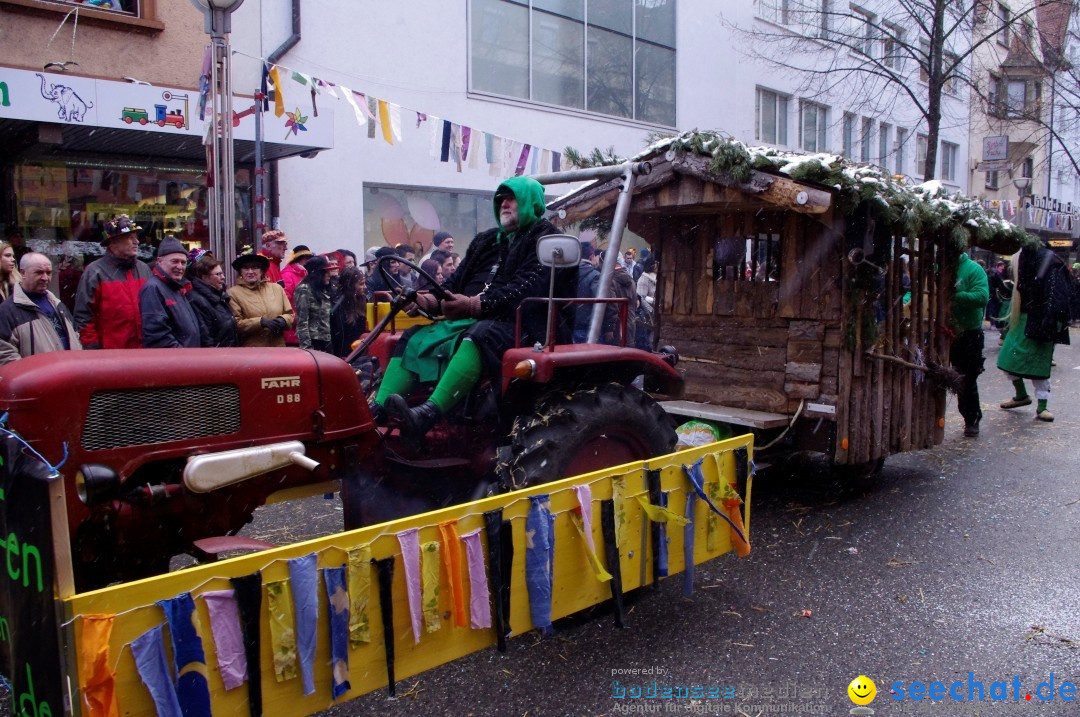 Narrenbaumumzug der Poppele-Zunft: Singen am Bodensee, 07.02.2013