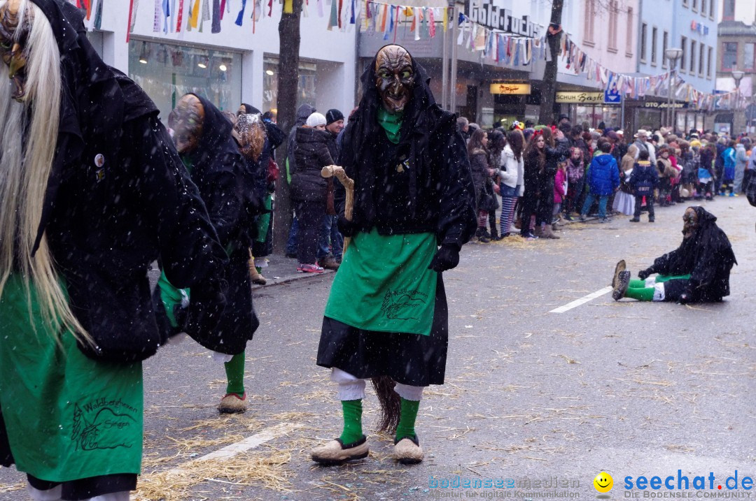 Narrenbaumumzug der Poppele-Zunft: Singen am Bodensee, 07.02.2013