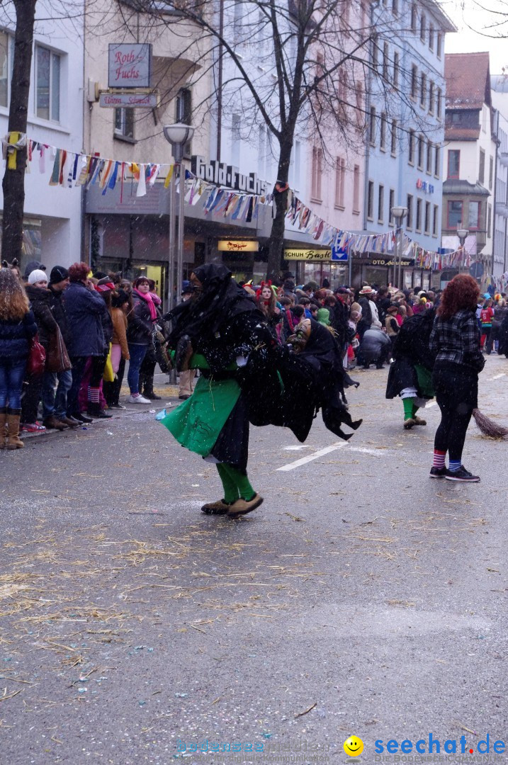 Narrenbaumumzug der Poppele-Zunft: Singen am Bodensee, 07.02.2013