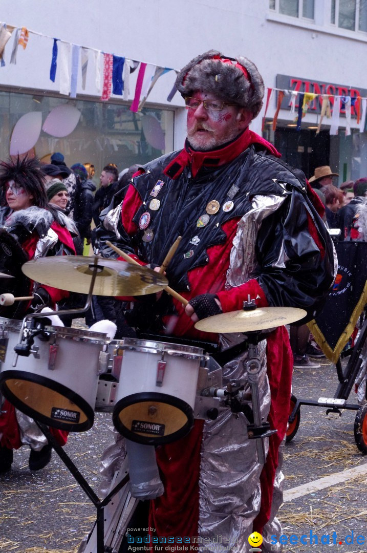 Narrenbaumumzug der Poppele-Zunft: Singen am Bodensee, 07.02.2013