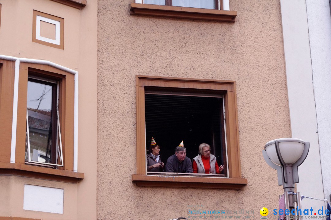 Narrenbaumumzug der Poppele-Zunft: Singen am Bodensee, 07.02.2013