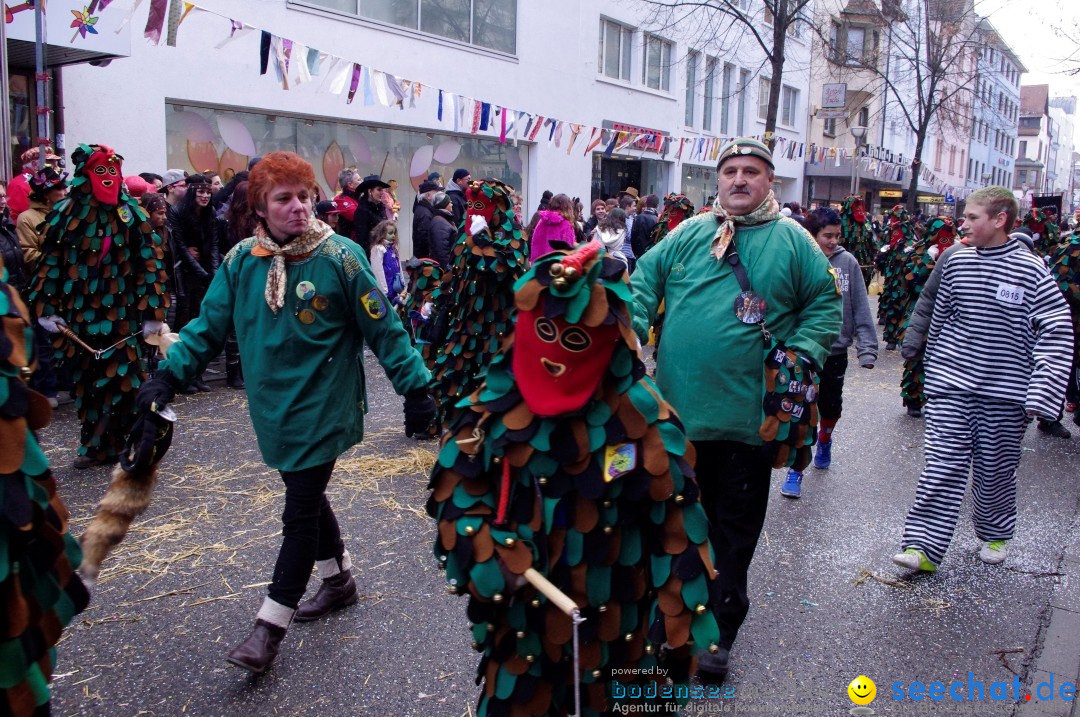 Narrenbaumumzug der Poppele-Zunft: Singen am Bodensee, 07.02.2013