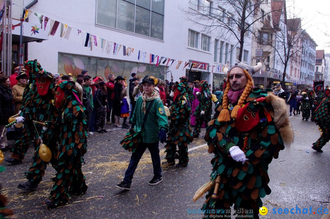 Narrenbaumumzug der Poppele-Zunft: Singen am Bodensee, 07.02.2013