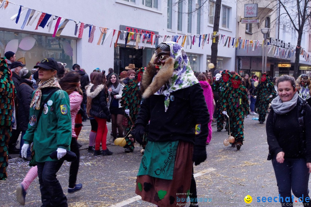 Narrenbaumumzug der Poppele-Zunft: Singen am Bodensee, 07.02.2013