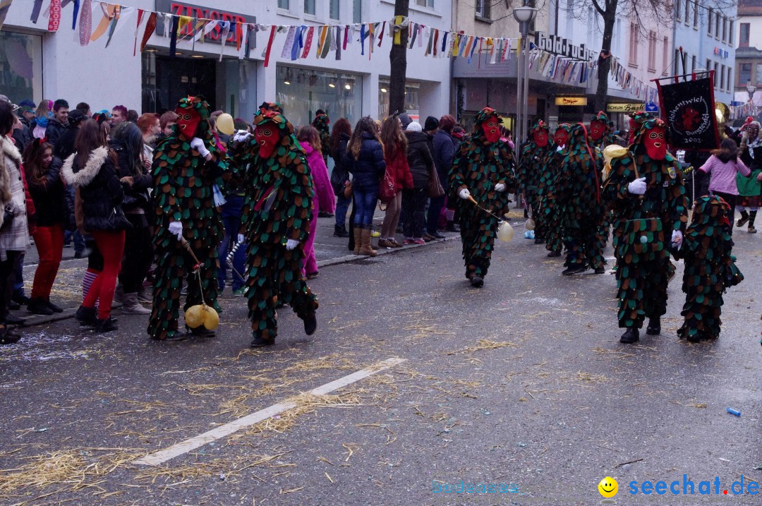 Narrenbaumumzug der Poppele-Zunft: Singen am Bodensee, 07.02.2013