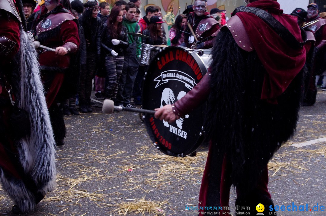 Narrenbaumumzug der Poppele-Zunft: Singen am Bodensee, 07.02.2013