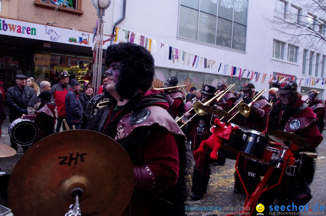 Narrenbaumumzug der Poppele-Zunft: Singen am Bodensee, 07.02.2013