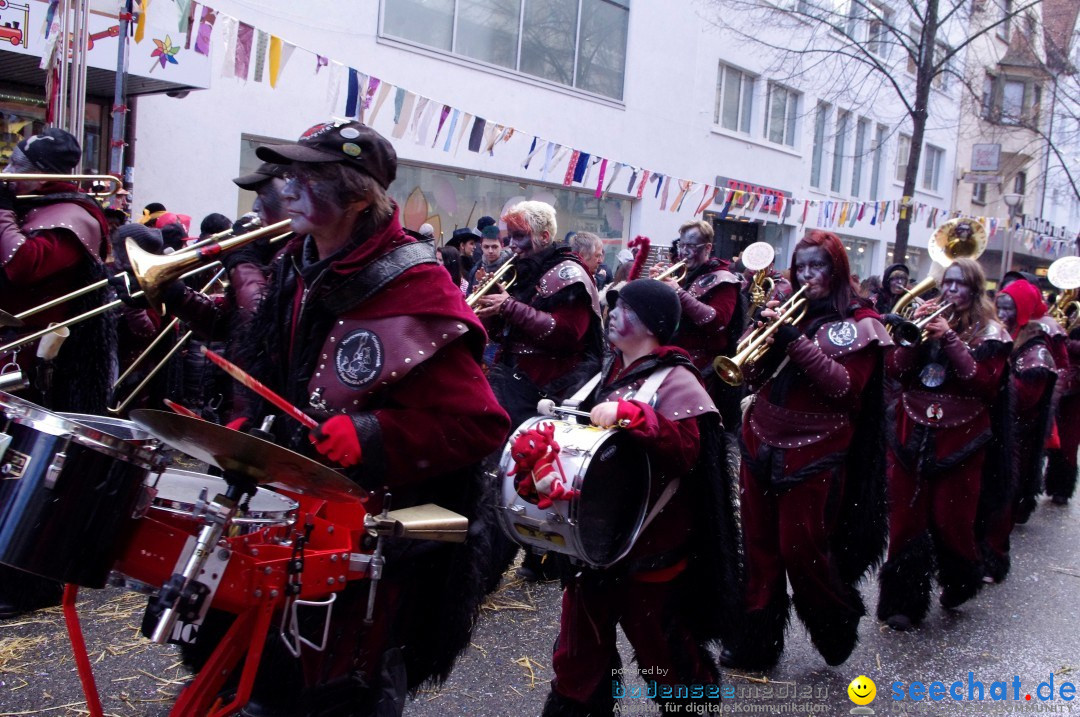 Narrenbaumumzug der Poppele-Zunft: Singen am Bodensee, 07.02.2013