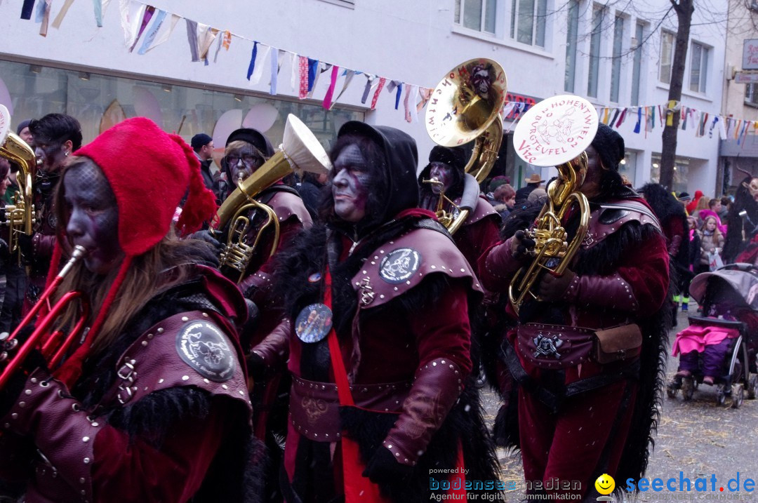 Narrenbaumumzug der Poppele-Zunft: Singen am Bodensee, 07.02.2013