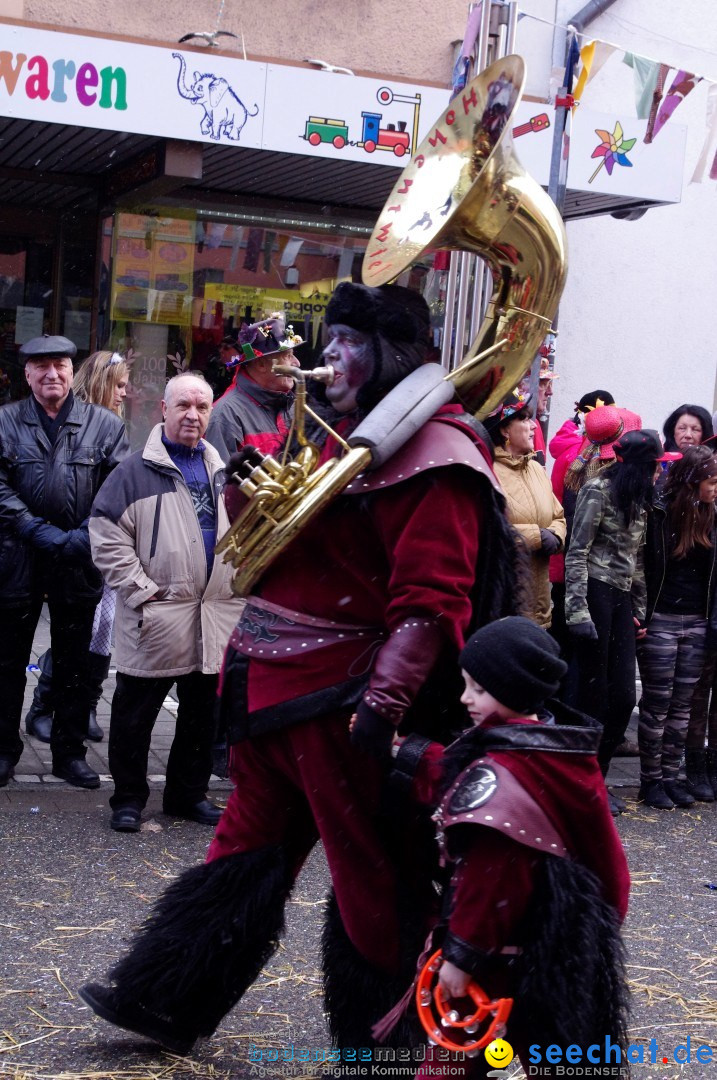 Narrenbaumumzug der Poppele-Zunft: Singen am Bodensee, 07.02.2013