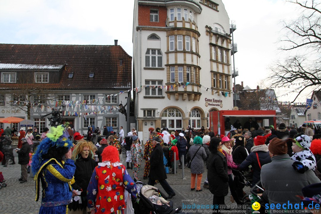 Narrenbaumumzug der Poppele-Zunft: Singen am Bodensee, 07.02.2013