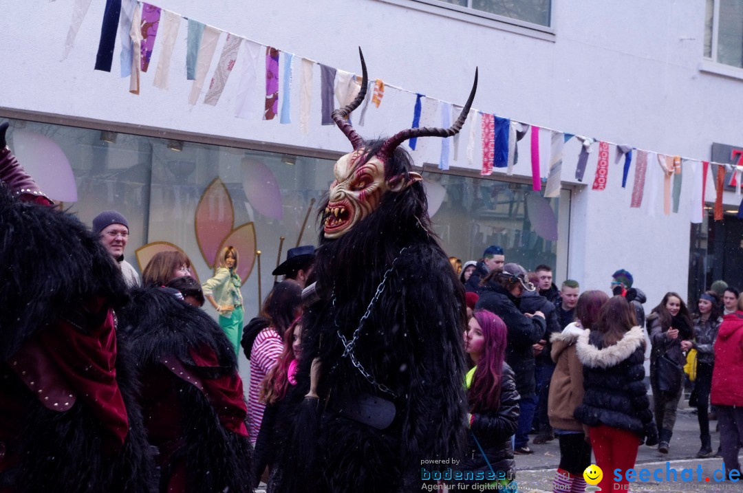 Narrenbaumumzug der Poppele-Zunft: Singen am Bodensee, 07.02.2013