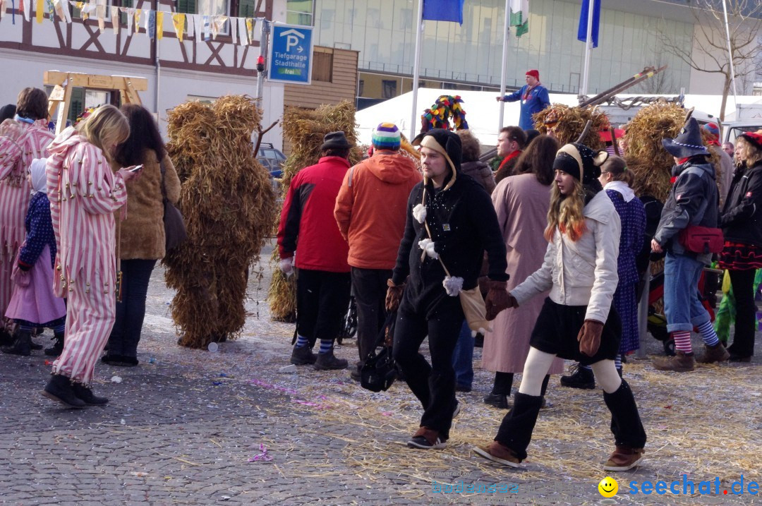 Narrenbaumumzug der Poppele-Zunft: Singen am Bodensee, 07.02.2013