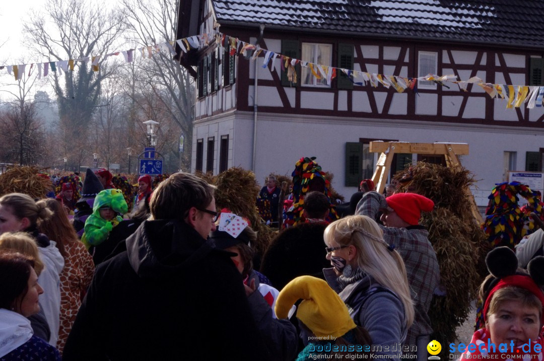 Narrenbaumumzug der Poppele-Zunft: Singen am Bodensee, 07.02.2013