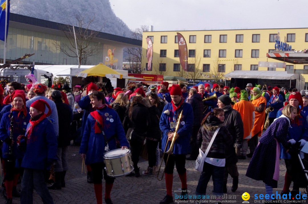 Narrenbaumumzug der Poppele-Zunft: Singen am Bodensee, 07.02.2013