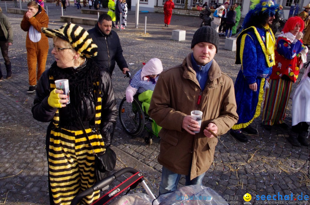 Narrenbaumumzug der Poppele-Zunft: Singen am Bodensee, 07.02.2013