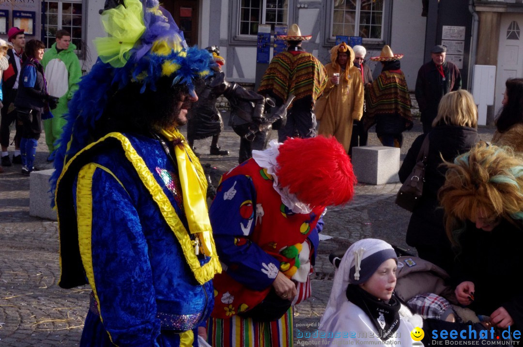 Narrenbaumumzug der Poppele-Zunft: Singen am Bodensee, 07.02.2013