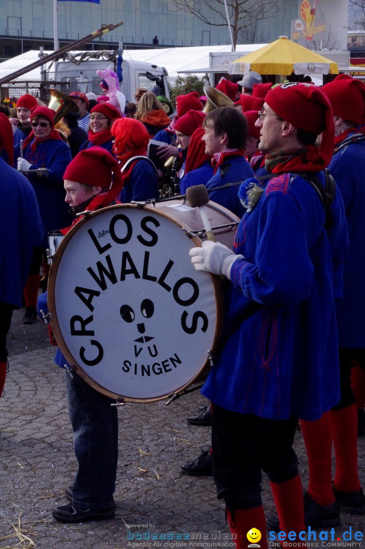 Narrenbaumumzug der Poppele-Zunft: Singen am Bodensee, 07.02.2013