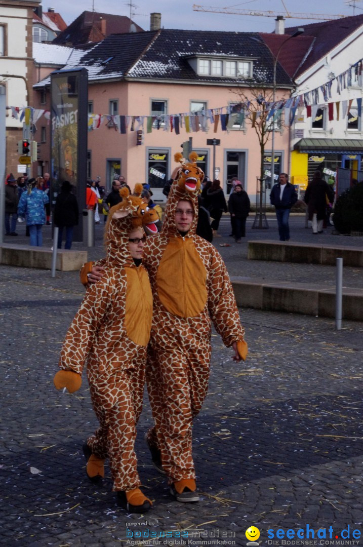 Narrenbaumumzug der Poppele-Zunft: Singen am Bodensee, 07.02.2013