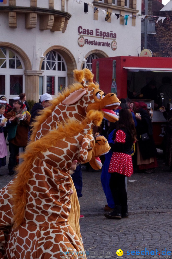 Narrenbaumumzug der Poppele-Zunft: Singen am Bodensee, 07.02.2013