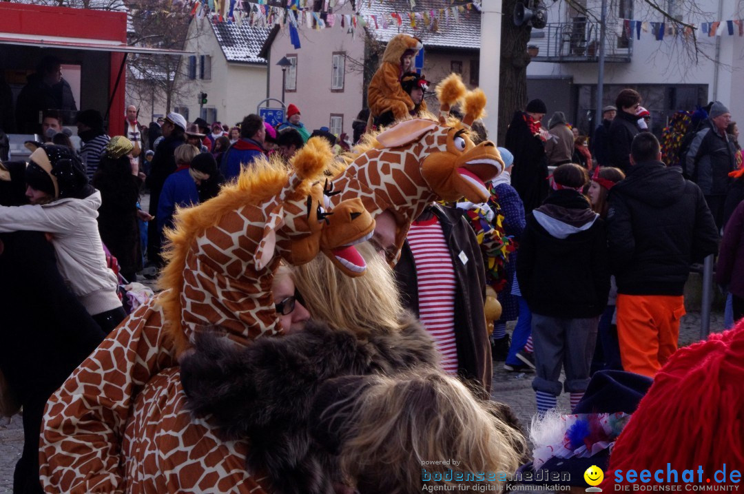 Narrenbaumumzug der Poppele-Zunft: Singen am Bodensee, 07.02.2013