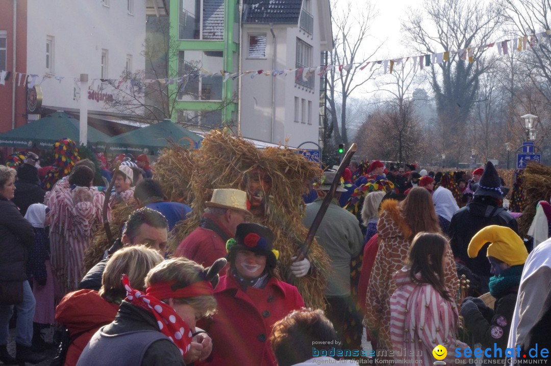 Narrenbaumumzug der Poppele-Zunft: Singen am Bodensee, 07.02.2013