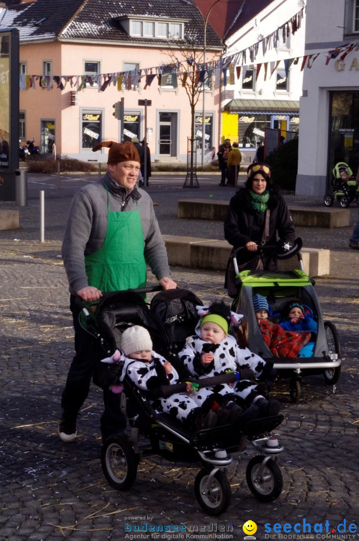 Narrenbaumumzug der Poppele-Zunft: Singen am Bodensee, 07.02.2013