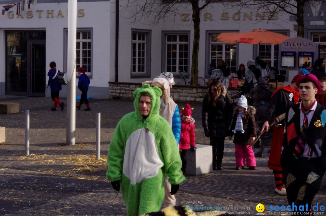 Narrenbaumumzug der Poppele-Zunft: Singen am Bodensee, 07.02.2013