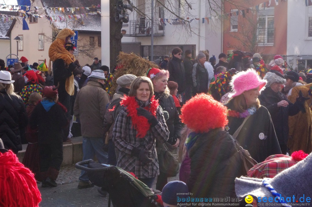 Narrenbaumumzug der Poppele-Zunft: Singen am Bodensee, 07.02.2013