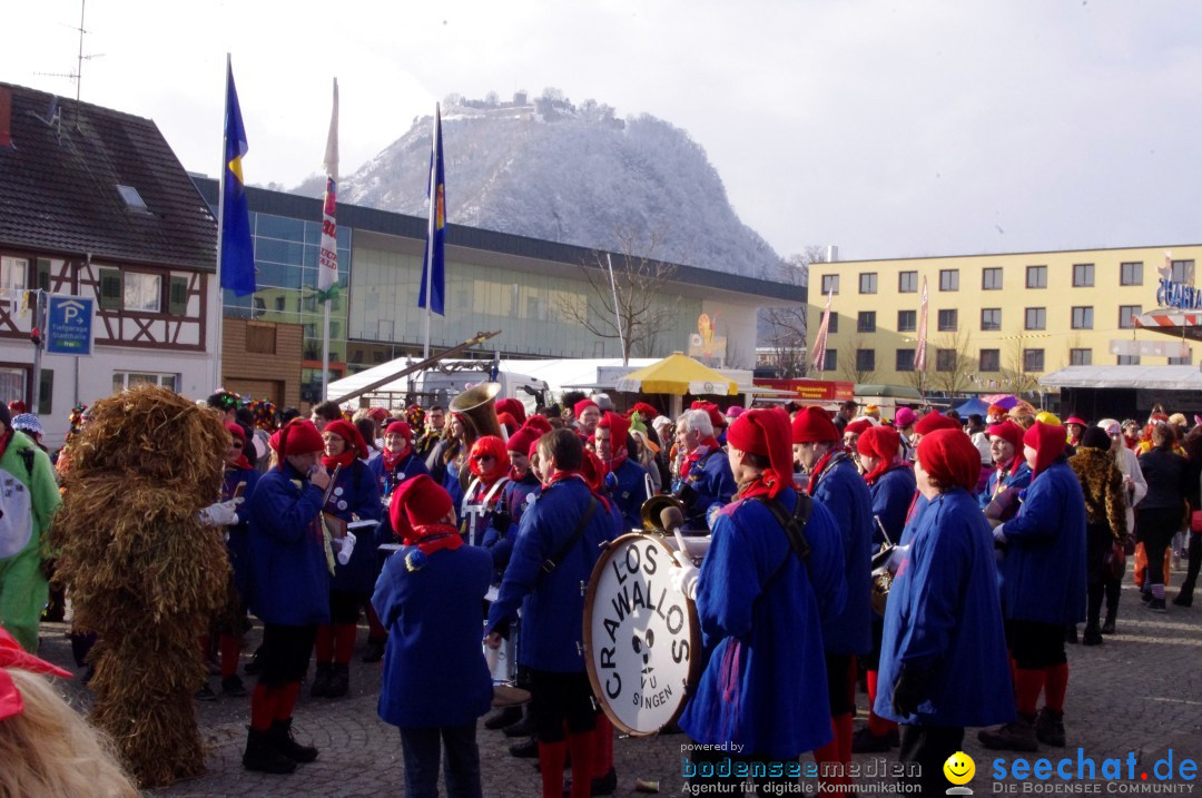 Narrenbaumumzug der Poppele-Zunft: Singen am Bodensee, 07.02.2013