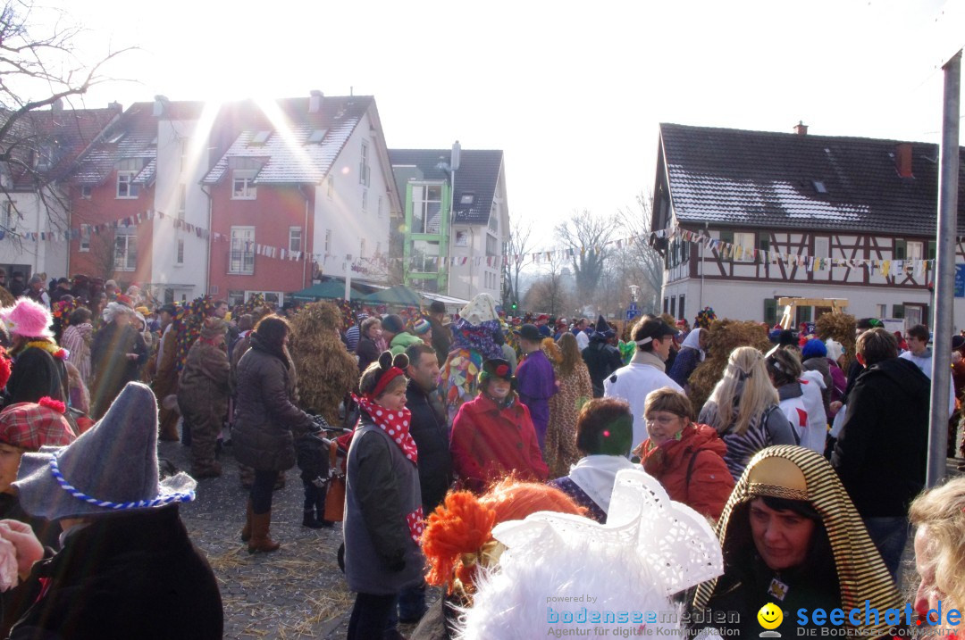 Narrenbaumumzug der Poppele-Zunft: Singen am Bodensee, 07.02.2013