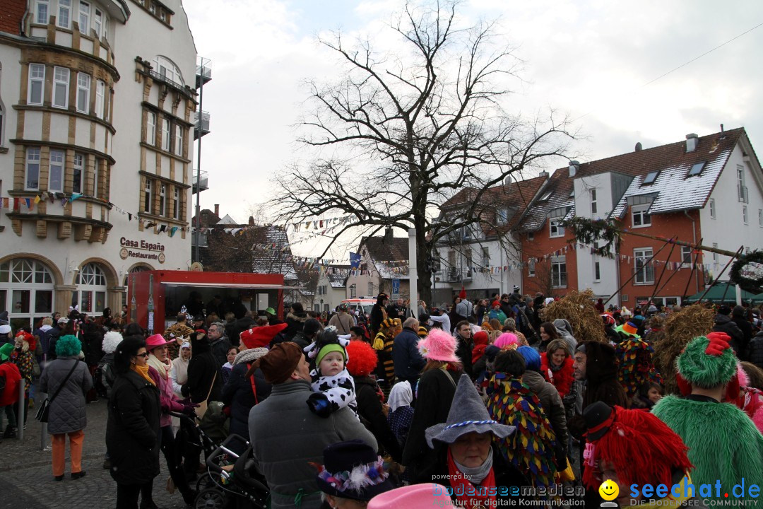 Narrenbaumumzug der Poppele-Zunft: Singen am Bodensee, 07.02.2013