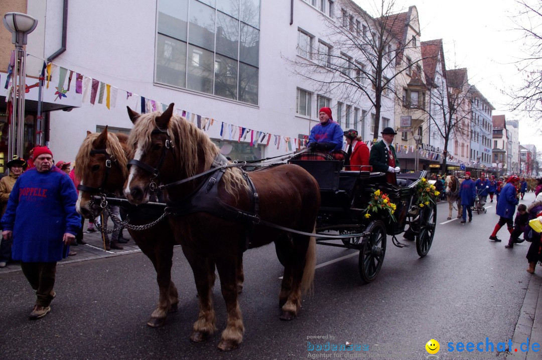 Narrenbaumumzug der Poppele-Zunft: Singen am Bodensee, 07.02.2013