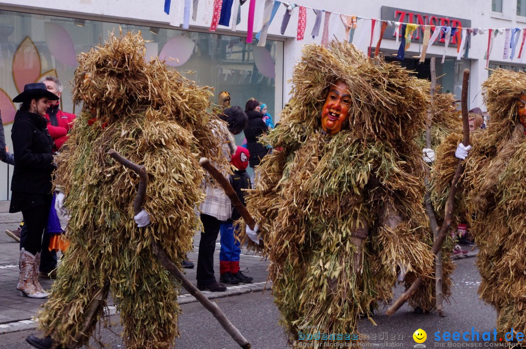 Narrenbaumumzug der Poppele-Zunft: Singen am Bodensee, 07.02.2013