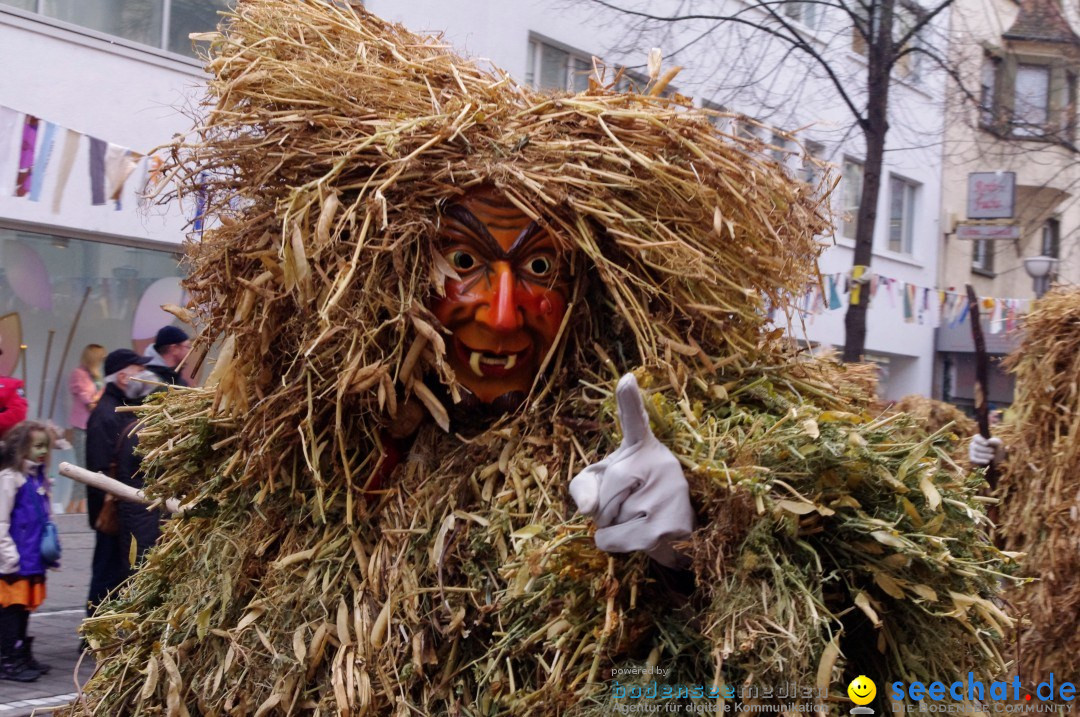 Narrenbaumumzug der Poppele-Zunft: Singen am Bodensee, 07.02.2013