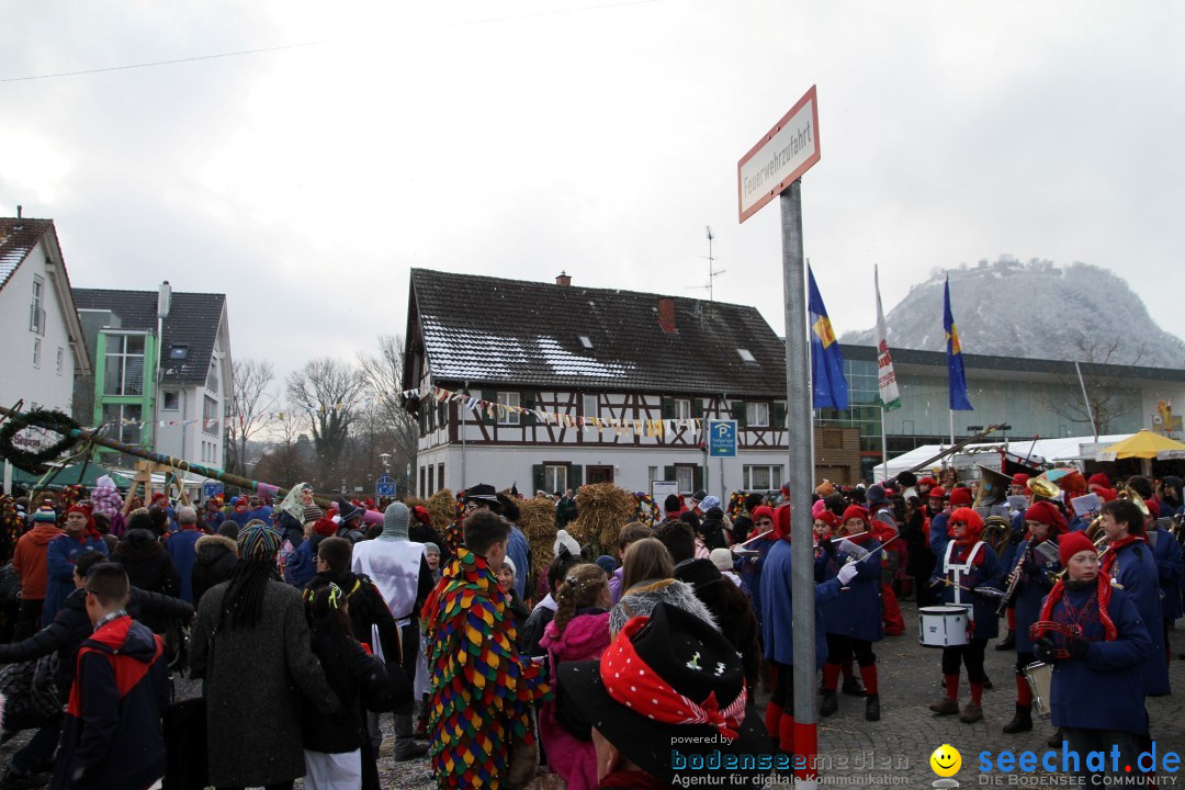 Narrenbaumumzug der Poppele-Zunft: Singen am Bodensee, 07.02.2013