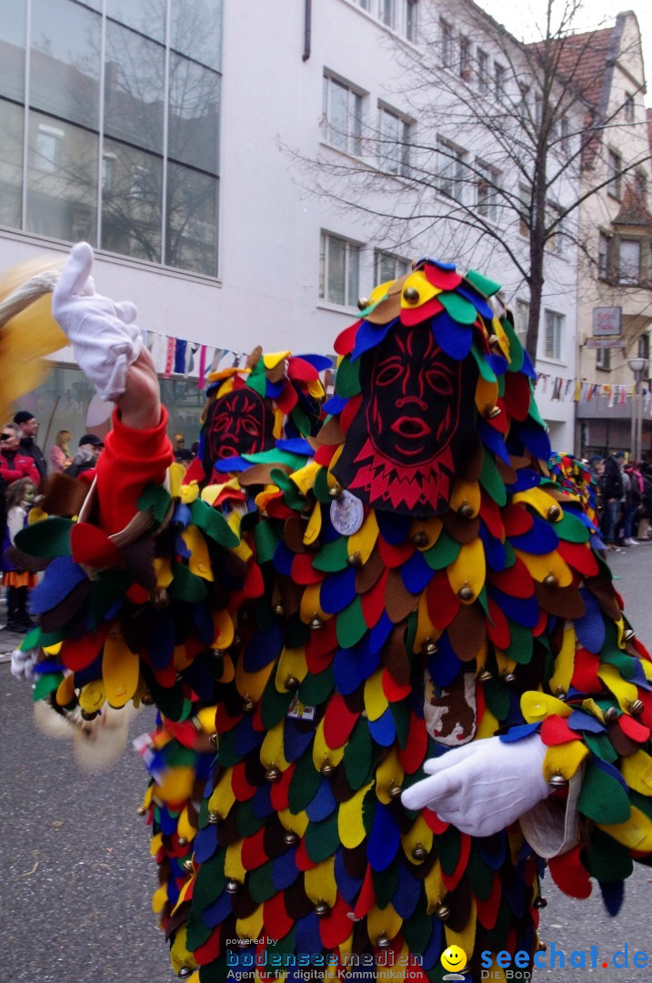 Narrenbaumumzug der Poppele-Zunft: Singen am Bodensee, 07.02.2013