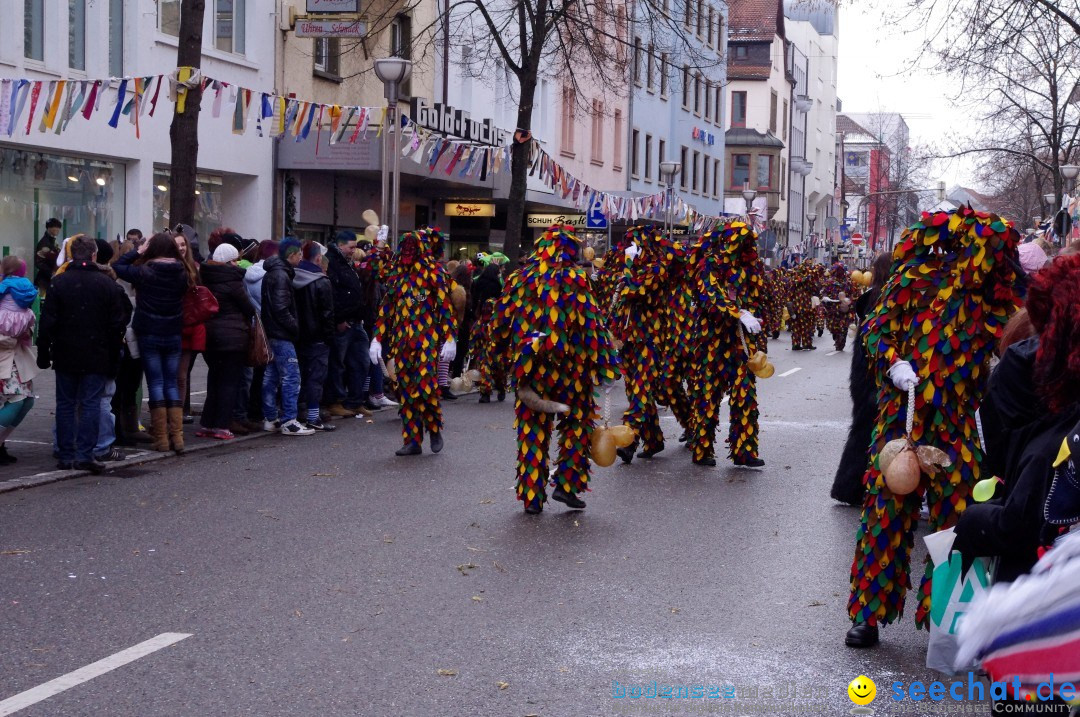 Narrenbaumumzug der Poppele-Zunft: Singen am Bodensee, 07.02.2013