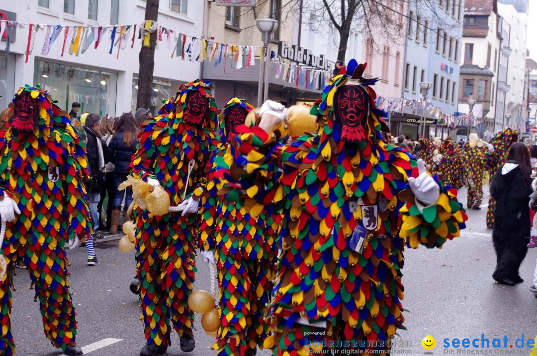 Narrenbaumumzug der Poppele-Zunft: Singen am Bodensee, 07.02.2013