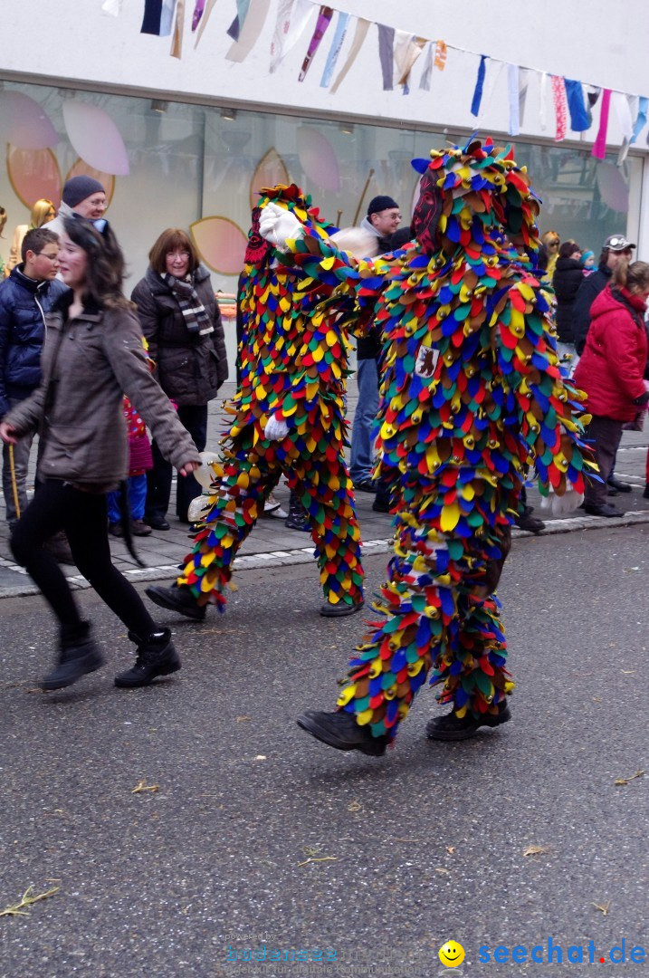 Narrenbaumumzug der Poppele-Zunft: Singen am Bodensee, 07.02.2013