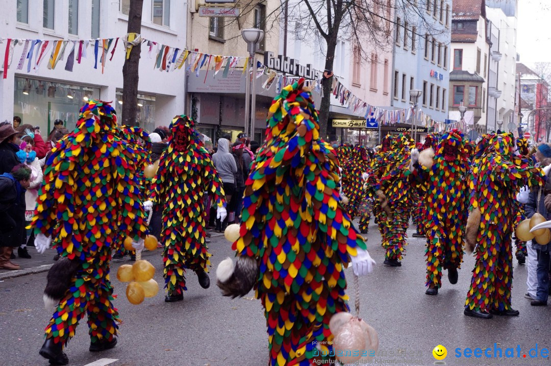 Narrenbaumumzug der Poppele-Zunft: Singen am Bodensee, 07.02.2013