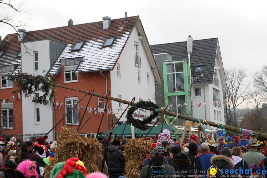 Narrenbaumumzug der Poppele-Zunft: Singen am Bodensee, 07.02.2013