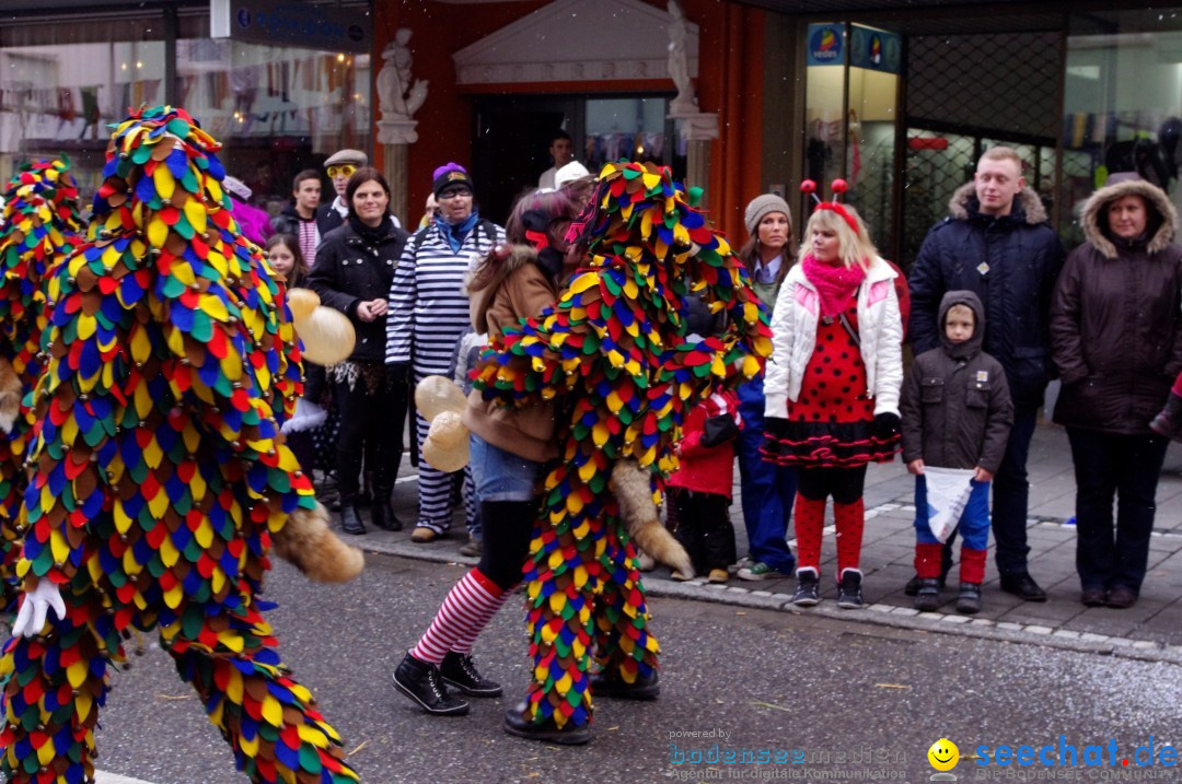 Narrenbaumumzug der Poppele-Zunft: Singen am Bodensee, 07.02.2013