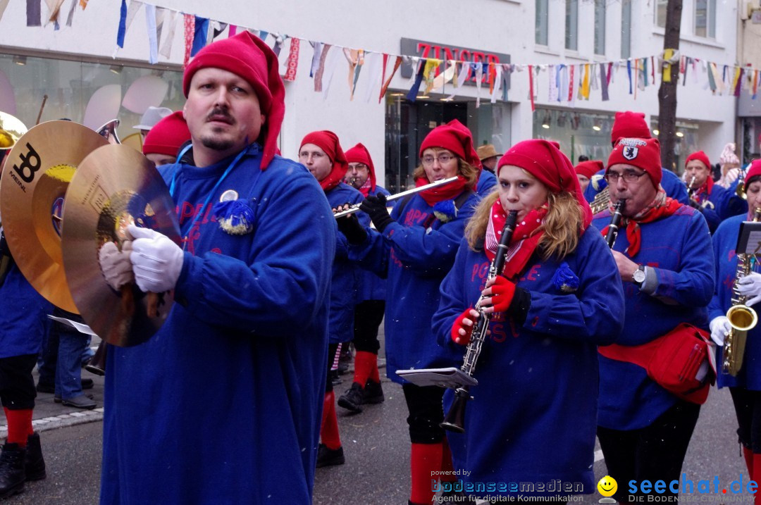 Narrenbaumumzug der Poppele-Zunft: Singen am Bodensee, 07.02.2013