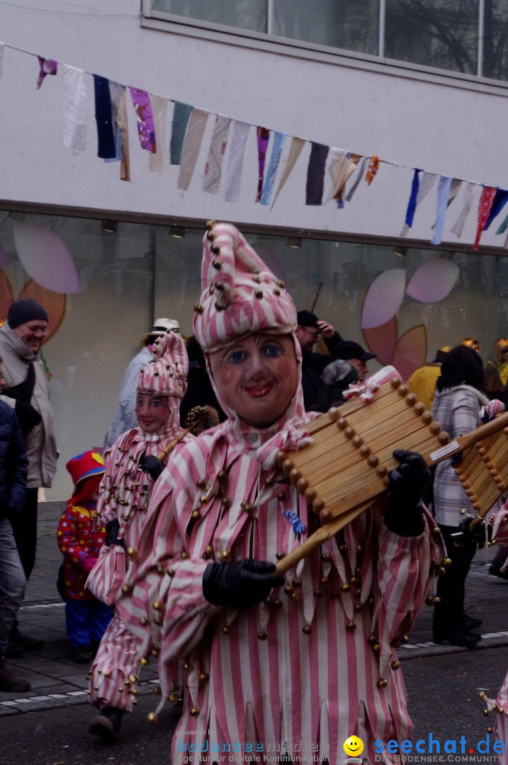 Narrenbaumumzug der Poppele-Zunft: Singen am Bodensee, 07.02.2013