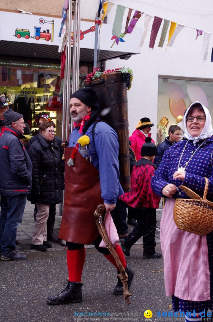 Narrenbaumumzug der Poppele-Zunft: Singen am Bodensee, 07.02.2013