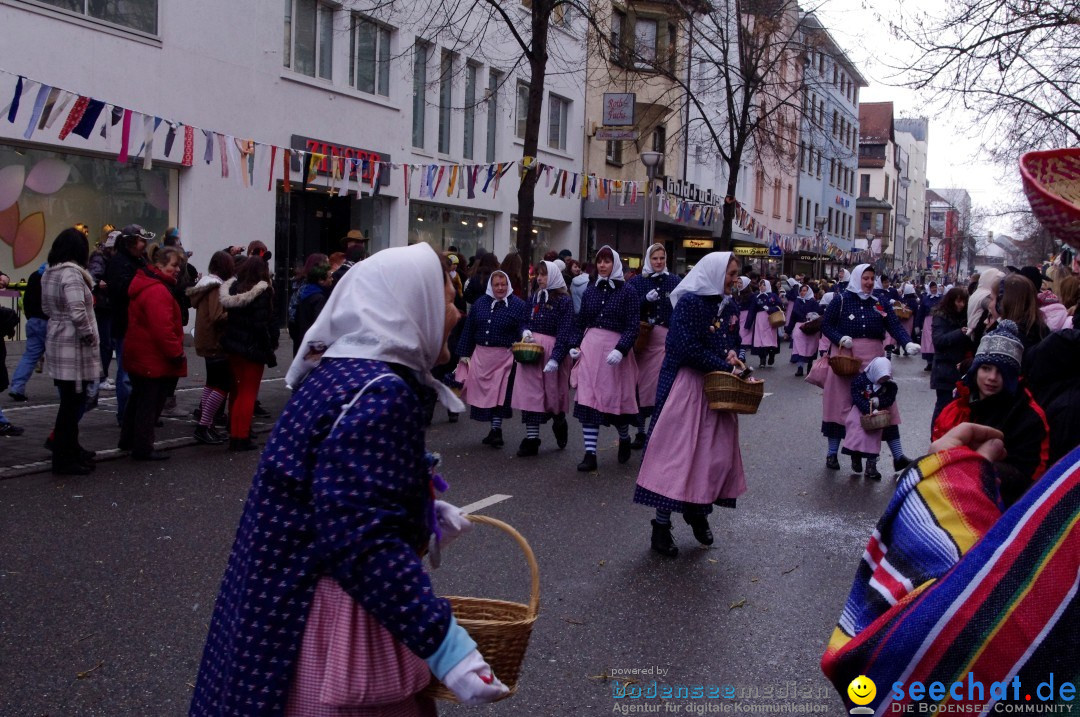 Narrenbaumumzug der Poppele-Zunft: Singen am Bodensee, 07.02.2013