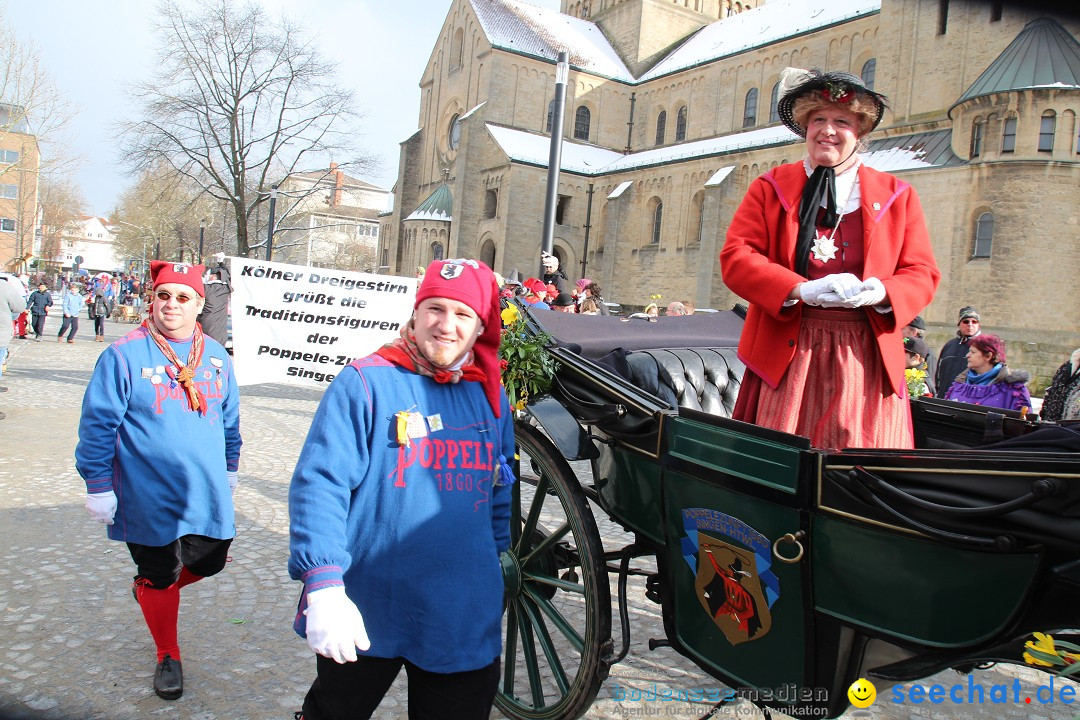 Fasnet - Kinderumzug: Singen am Bodensee, 09.02.2013