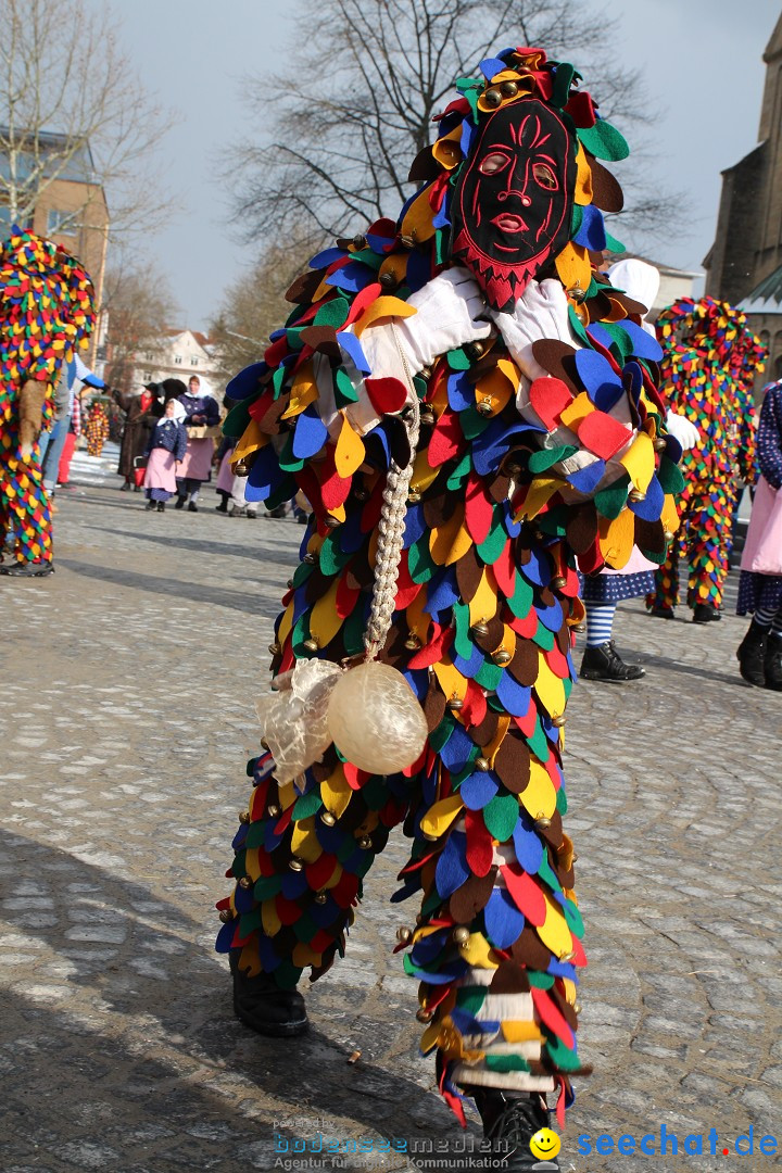 Fasnet - Kinderumzug: Singen am Bodensee, 09.02.2013