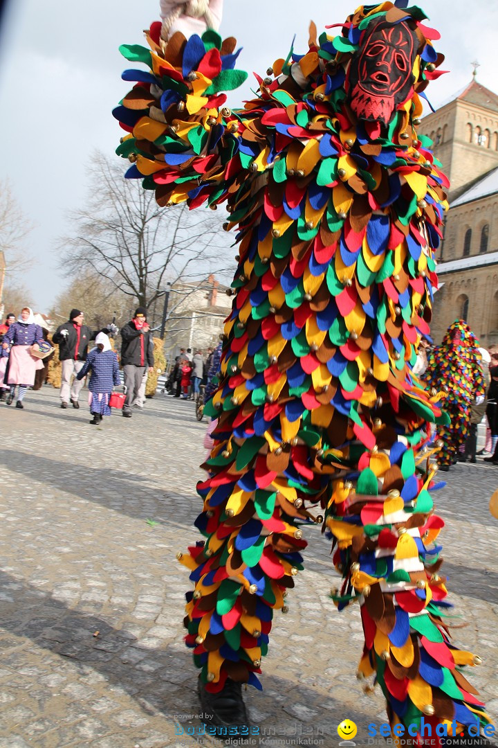 Fasnet - Kinderumzug: Singen am Bodensee, 09.02.2013